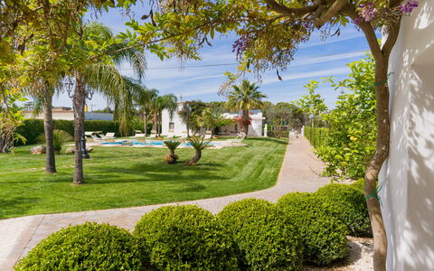 Ville Poggioreale: Bleu, Arbre, Jardin, Arbuste, Paysage, Pelouse, Ombre, Aménagement Paysager, Cour