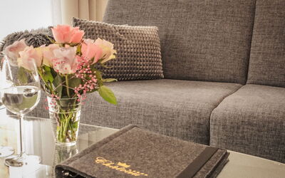 Saas-Fee 1182: Textile, Canapé, Meubles, Salon, Throw Pillow, Coussin, Oreiller, Linge, Plante D'Appartement