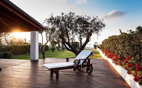 Cala Marina: Ombre, Jardin, Pelouse, Aménagement Paysager, Cour, Mobilier De Jardin, Structure En Plein Air, Eco Hôtel, Arrière-Cour, Villa