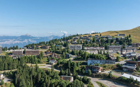 Cytises: Paysage, Design Urbain, Station De Montagne, Pente, Vue Du Ciel, Photographie Aérienne, Alpes, Mélèze, Village De Montagne