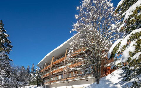 V du Bachat Arolles a: L'Hiver, Gelé, Neige, Balcon, Mélèze, Famille Pine