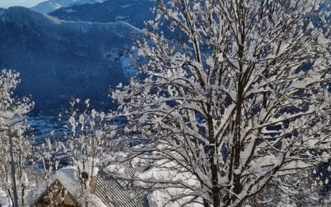 T du Morel a: Neige, Branche, L'Hiver, Arbre, Brindille, Gelé, Station De Montagne, Chaîne De Montagnes, Gel, Pente