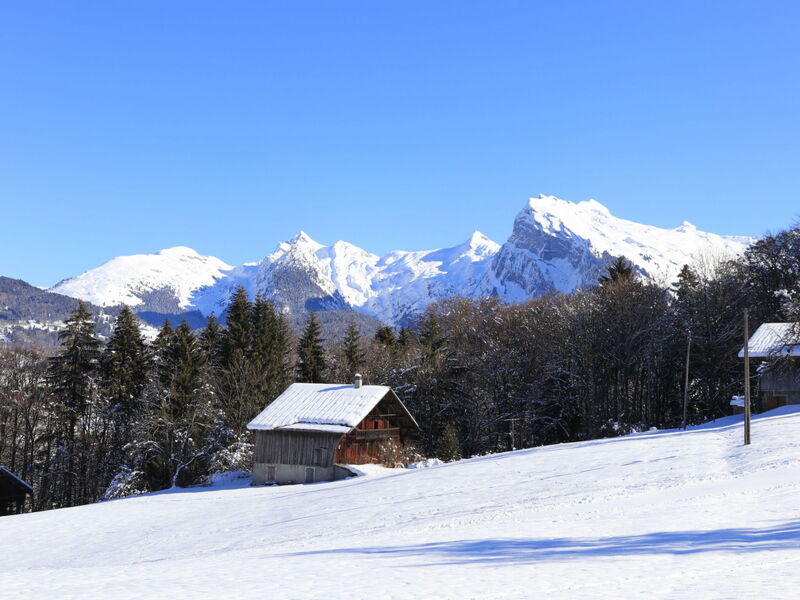 Les Sitelles