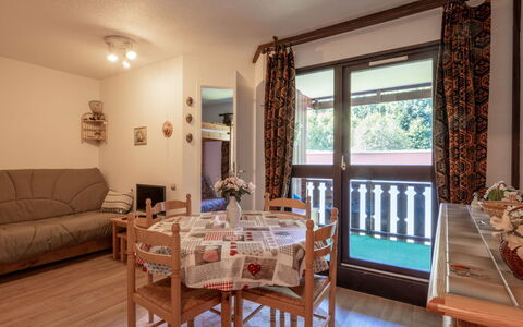 Grande Neige: Appartement, Tache De Bois, Dur, Balcon