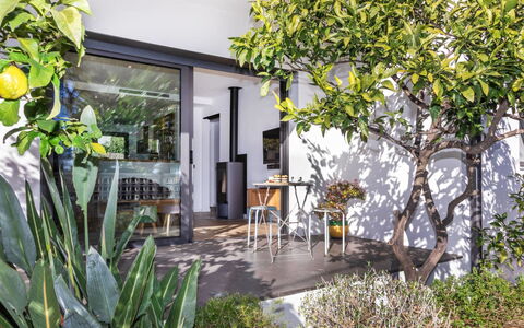La Manzaneta: Ombre, Jardin, Pot De Fleur, Plante D'Appartement, Conception, Aménagement Paysager, Cour, Eco Hôtel, Cour, Arrière-Cour