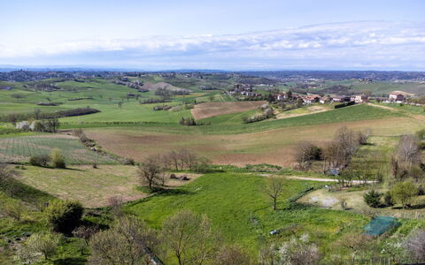 Relais San Desiderio: Herbe, Prairie, Paysage Naturel, Plaine, Écorégion, Horizon, Paysage, Zone Rurale, Champ, Lot Terre