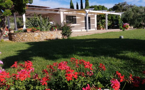 Il Tramonto: Arbuste, Jardin, Ombre, Biens, Pelouse, Hacienda, Cour, Arrière-Cour, Aménagement Paysager