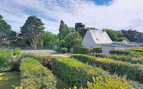 Quiberon 250: Vert, Feuille, Végétation, Arbuste, Jardin, Haie, Communauté Des Plantes, Lot Terre, Couverture De Sol, Printemps