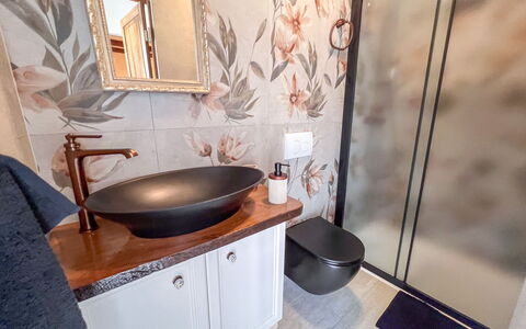 Vila Jurja: Luminaire Plomberie, Lavabo, Design Intérieur, Salle De Bains, Évier, Plomberie, Miroir, Pot De Fleur, Robinet, Armoire De Toilette