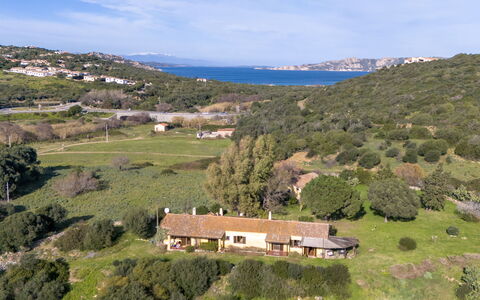 Palau 62: Appartement, Bateau, Navire, Marina, Condominium, Balcon, Port, Port, Hôtel, Bateaux Et Nautique - Materiel Et Fournitures