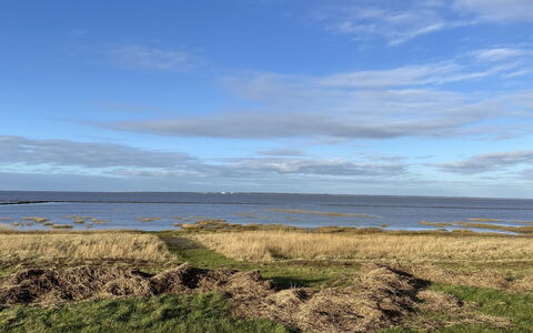 Tuki - 10Km from the Sea: Biens, Ferme