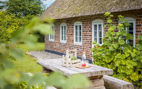 Tuki - 10Km from the Sea: Bleu, Arbuste, Chalet, Couverture De Sol, Jardin, Biens, Ombre, Aménagement Paysager, Ferme, Eco Hôtel