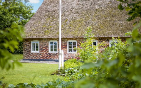 Tuki - 10Km from the Sea: Bleu, Arbuste, Chalet, Couverture De Sol, Jardin, Biens, Ombre, Aménagement Paysager, Ferme, Eco Hôtel