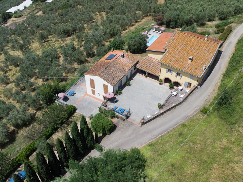 Rufina 974