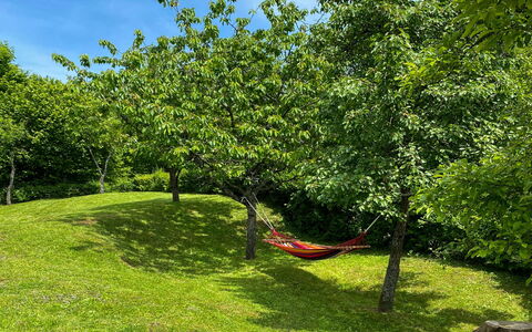 Brod Moravice 102: Branche, Prairie, Jardin, Couverture De Sol, Pelouse, Tronc, Ombre, Suppression Des Plantes Ligneuses, Prairie