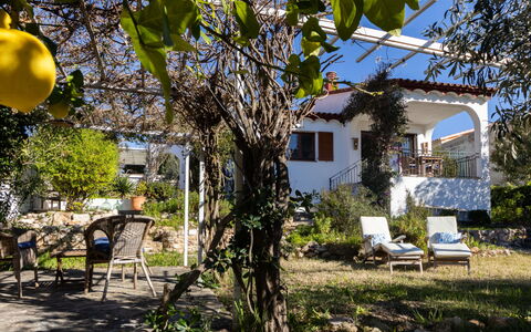 La Unica: Arbuste, Jardin, Ombre, Printemps, Arrière-Cour, Cour, Aménagement Paysager, Chalet, Hacienda