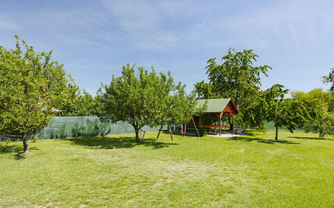 Gyula: Arbre, Plaine, Lot Terre, Jardin, Pelouse, Ombre, Prairie, Parc, Cour, Aménagement Paysager