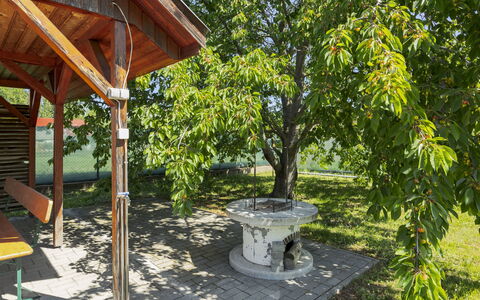 Gyula: Jardin, Ombre, Suppression Des Plantes Ligneuses, Parc, Cour, Pelouse, Aménagement Paysager, Structure En Plein Air, Batiments Jardin, Arrière-Cour