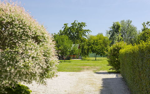 Gyula: Arbuste, Jardin, Couverture De Sol, Printemps, Pelouse, Haie, Prairie, Plantation, Aménagement Paysager, Parc