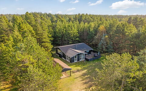Hansa - 3Km from the Sea: Paysage, Lot Terre, Plantation, Famille Pine, À Feuilles Persistantes