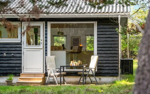 Hansa - 3Km from the Sea: Paysage, Lot Terre, Plantation, Famille Pine, À Feuilles Persistantes