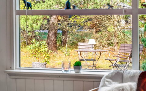 Hansa - 3Km from the Sea: Paysage, Lot Terre, Plantation, Famille Pine, À Feuilles Persistantes