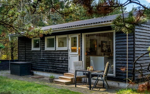 Hansa - 3Km from the Sea: Paysage, Lot Terre, Plantation, Famille Pine, À Feuilles Persistantes