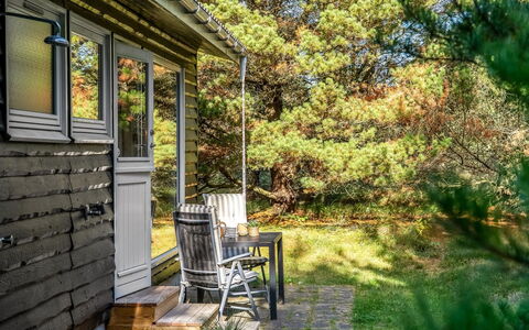 Hansa - 3Km from the Sea: Paysage, Lot Terre, Plantation, Famille Pine, À Feuilles Persistantes