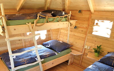 Logement:&nbsp;Treehouse 2 3.2