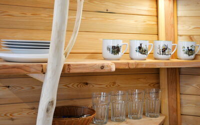Logement:&nbsp;Treehouse 1 3.1