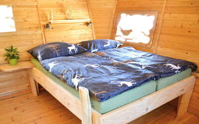 Logement:&nbsp;Treehouse 2 3.2