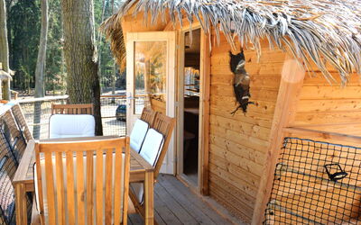 Logement:&nbsp;Treehouse 2 3.2
