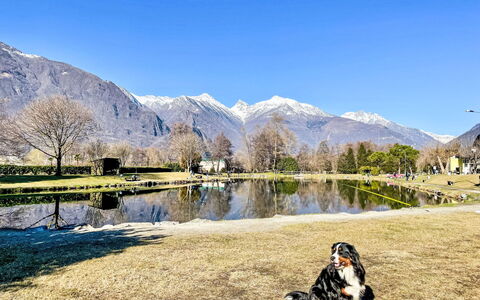 Lucia: Piscine, Recours, Appartement, Hôtel, Manoir, Villa, Ombre, Hacienda, Ville Resort