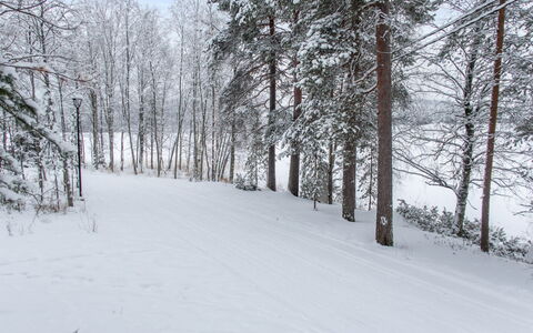 Katinkulma 2: Neige, Branche, Arbre, L'Hiver, Environnement Naturel, Bois, Brindille, Forêt, Gelé
