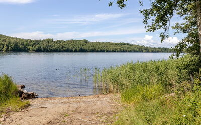 Sjödrömmen