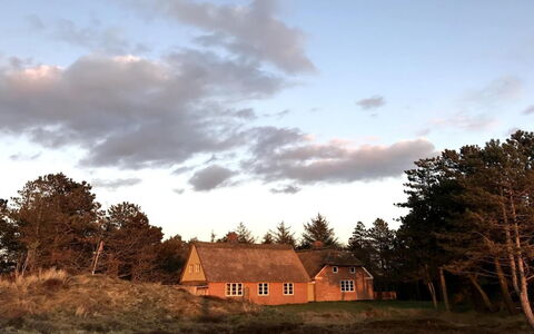 Ibbe - 3.5Km from the Sea: Biens, Ombre, Allée, Ferme