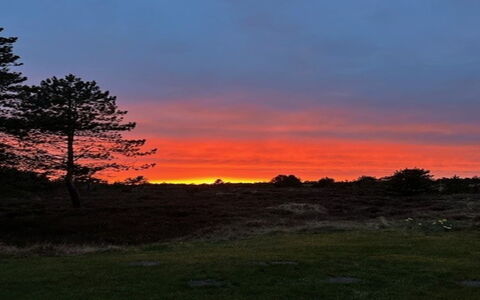 Ibbe - 3.5Km from the Sea: Ciel, La Nature, Branche, Afterglow, Horizon, Orange, Crépuscule, Le Coucher Du Soleil, Nuage, Paysage Naturel