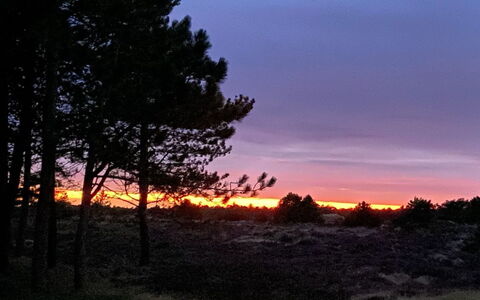 Ibbe - 3.5Km from the Sea: Ciel, Branche, La Nature, Feuille, Afterglow, Paysage Naturel, Crépuscule, Le Coucher Du Soleil, Horizon, Orange
