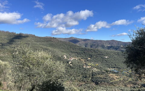 Paola: Montagnes Relief, Montagne, Végétation, Colline, Montagnes, Écorégion, Communauté Des Plantes, Paysage, Région Sauvage, Terrain