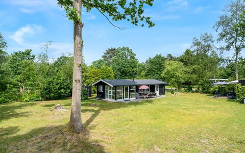 Aija - 175M from the Sea: Bois, Meubles, Appartement, Pièce, Plafond, Tache De Bois, Chaise, Dur, Vernis, Lumber