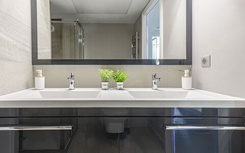 Prestige View: Lavabo, Luminaire Plomberie, Design Intérieur, Évier, Armoire De Toilette, Miroir, Comptoir, Salle De Bains, Robinet, Cabinetry