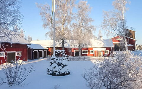 Jutila: Bois, Chalet, Domicile, Cabane En Rondins, Lumber, Siding, Dur, Matériau Naturel, Batiments Jardin, Cabane