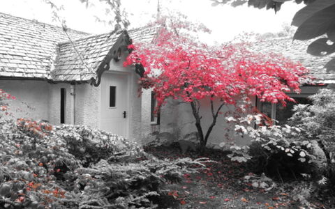 Dhivach Lodge