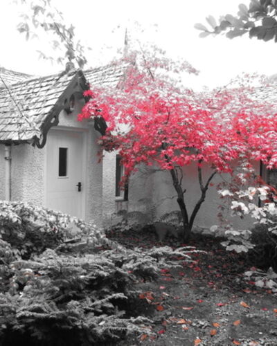 Dhivach Lodge