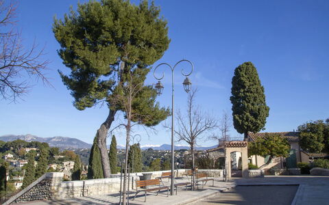 Cagnes Provencal: Arbre, Espace Public, Ombre, Passerelle, À Feuilles Persistantes, Aménagement Paysager, Famille Pine