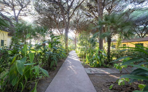 Nature & Country Resort Near The sea: Végétation, Jardin, Suppression Des Plantes Ligneuses, Ombre, Piste, Aménagement Paysager, Passerelle, Jardin Botanique, Allée, Plantation