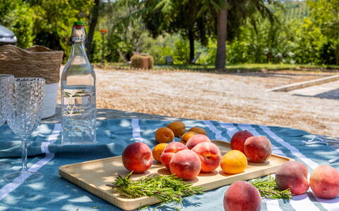 Casa Iume: Fruit, Produire, Aliments, Vaisselle, Aliments Naturels, Pomme, Nappe De Table, Pêche, Pique-Nique