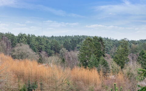 Gunward - 3Km from the Sea: À Déchaumer, Chalet, Maison, Toit, Domicile, Ferme, Cabane, Biens, Village