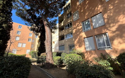 Sainte Maxime 456: Bleu, Chaise, Mobilier De Jardin, Conception, Ombre, Tableau De Plein Air, Eco Hôtel, Patio, Plante D'Appartement, Daylighting