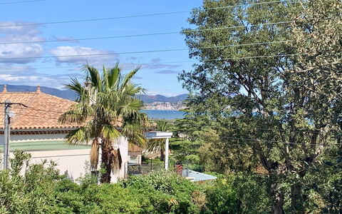 Carina: Ciel, Bleu, Biens, À Feuilles Persistantes, Eco Hôtel